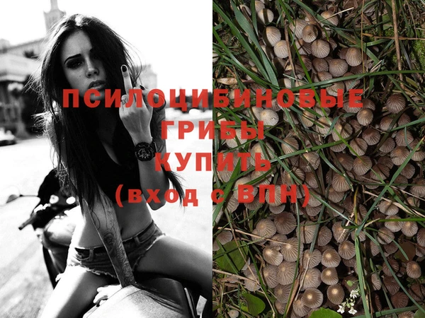прущие крисы Дмитриев