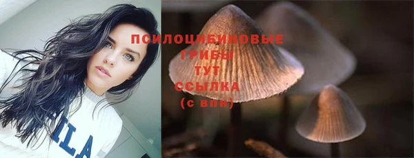 PSILOCYBIN Дмитровск
