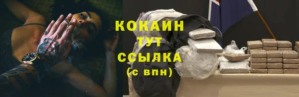 PSILOCYBIN Дмитровск