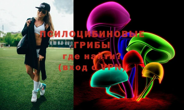 PSILOCYBIN Дмитровск