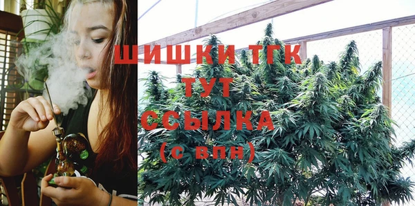 PSILOCYBIN Дмитровск