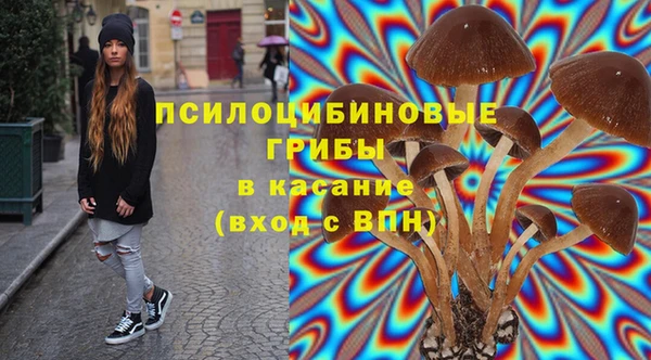 apvp Дмитров