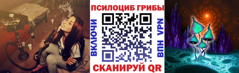Купить  Опочка  Псилоцибиновые грибы ЛСД 